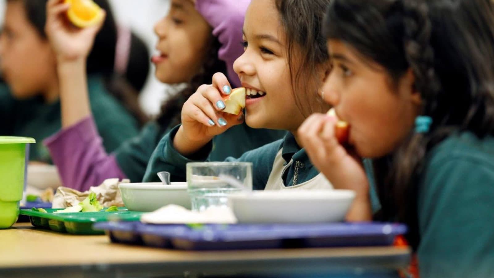 Little girls eating lunch